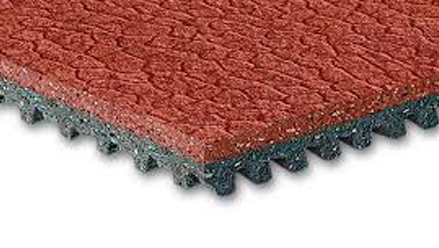 Sportflex Cross Section
