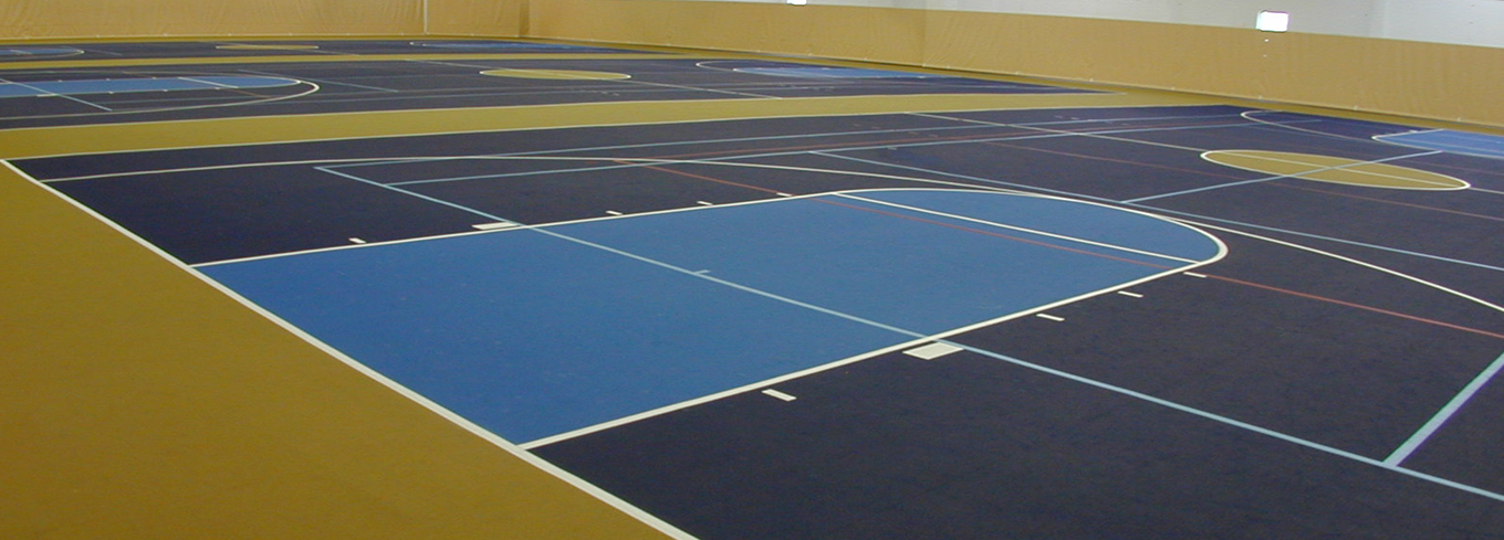 2s.Sportflex Wilkes cropped